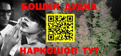 PSILOCYBIN Владикавказ