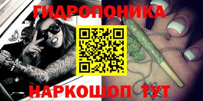 стаф Боровичи