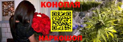 стаф Боровичи