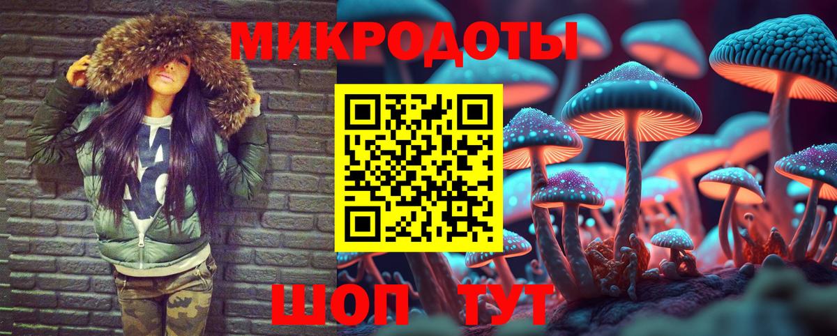 Ростов Великий  Галлюциногенные грибы Cubensis  Вход с VPN 