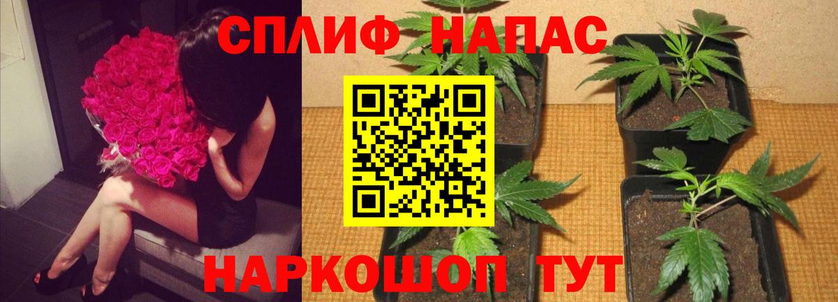 Шишки марихуана OG Kush Ростов Великий